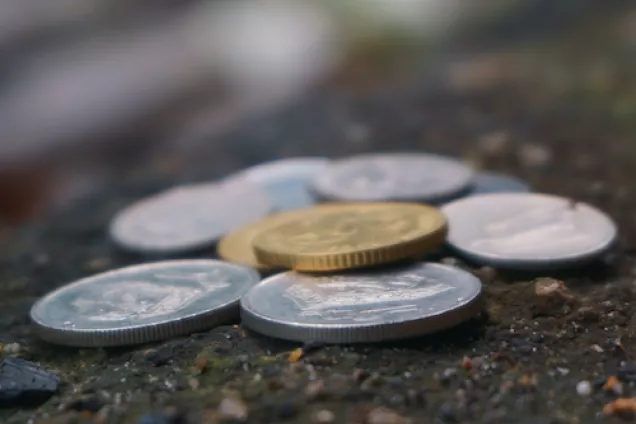 Round silver-colored coins on ground